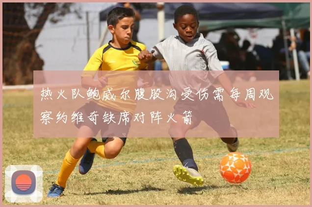 热火队鲍威尔腹股沟受伤需每周观察约维奇缺席对阵火箭